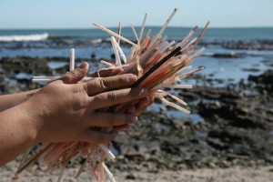 straws on beach