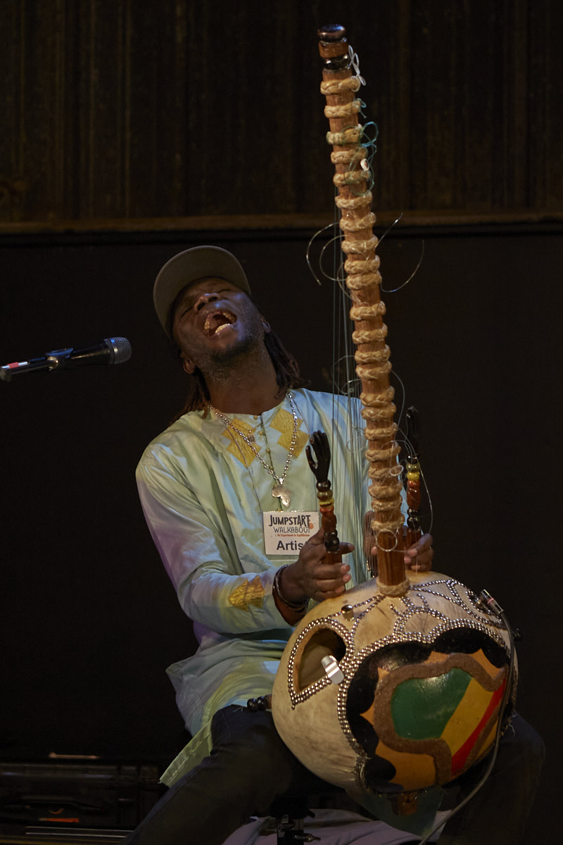 Photo of Diali Cissokho performing on the kora