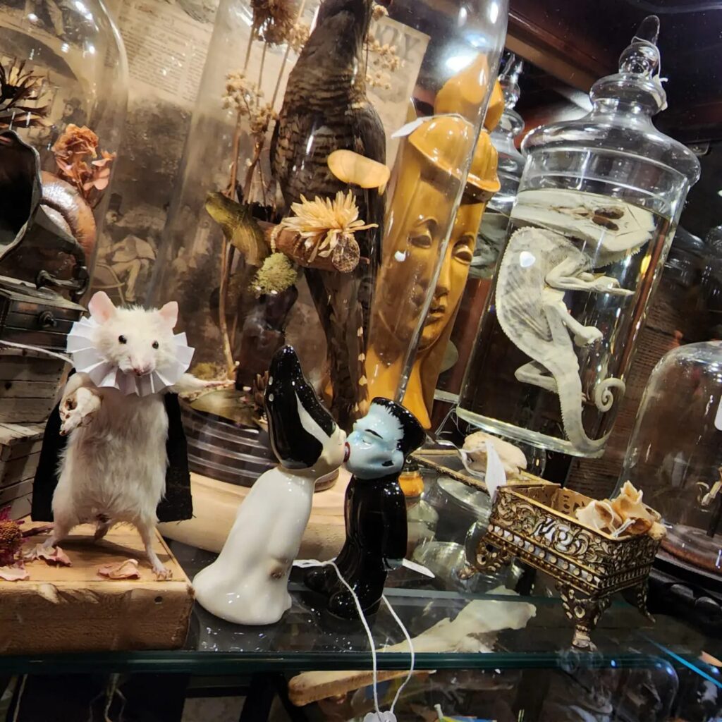 a shelf filled with a variety of curiosities. Jars filled with preserves creatures, a mouse dressed as Hamlet with a black cape and neck ruff, figurine of Frankenstein and the Bride, and a gold filigree box.
