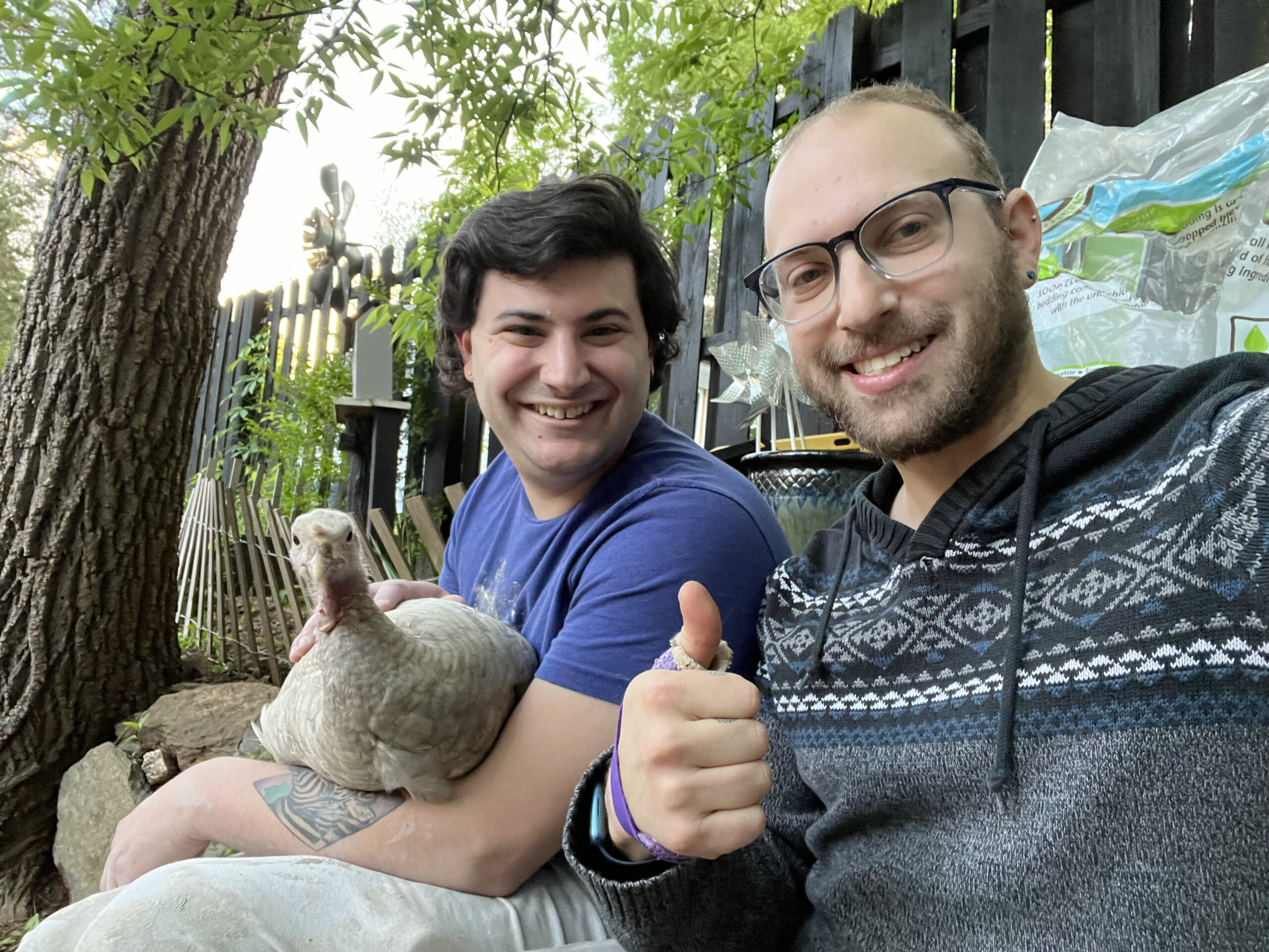 two people sitting together holding a chicken. the person in the background angel is wearing a blue tee shirt. the man in the foreground is wearing a knitted hoodie and glasses and is giving a thumbs up.