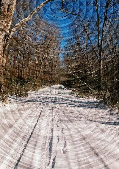 Wendy Spitzer image of Robeson Greenway with soundways overlaid on top